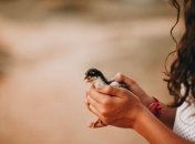 Какой праздник 17 мая: народные приметы и запреты