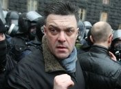 Власть зарегистрировала на выборы 20 "титушок" - Тягнибок