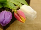 Поздравления в прозе с Днем рождения на 20 февраля