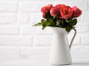 Троянди - неймовірної краси квіти