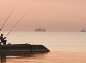 Из-за конфликта в Азовском море пострадает рыбная отрасль