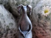 Чудесные фигурки существ из полимерной глины для любителей фэнтези (Фото)