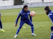 "Динамо" - "Фиорентина": букмекеры всего мира оценили шансы 