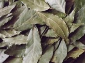 Правильная очистка организма в домашних условиях 