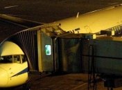 С 29 апреля возобновляются полеты "Киев-Новосибирск"