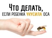 Что делать, если укусила оса: советы врача-педиатра
