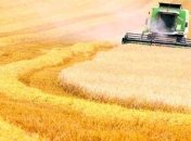 Минагрополитики сообщает о рекордном росте экспорта зерна из Украины