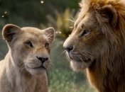 В европейском зоопарке вспышка коронавируса: пострадали не только люди, но и животные