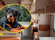 Українці придумали послугу для власників тварин