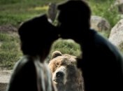 Курьез на свадьбе: медведь был против брака возлюбленных (Фото) 