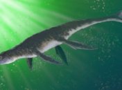 В Венгрии обнаружено недостающее звено в эволюционной линии крокодилов 