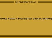 Не вечер, а сплошной позитив: анекдоты, которые подарят вам хорошее настроение