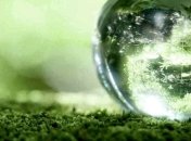 Ученые подсчитали массу биосферы Земли