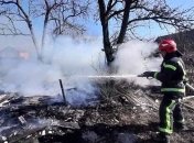 В Житомирской области при поджоге сухой травы погибла женщина