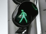 Премию Дарвина этим ребятам: фотограф заснял, как люди с детьми и собаками перебегают Крещатик