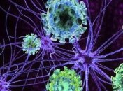 Ученые нашли новый метод борьбы с раком