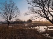 Прогноз погоды на 25 февраля: в Украине по-весеннему тепло