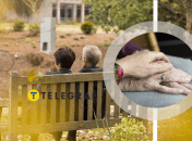 Колаж "Телеграф"