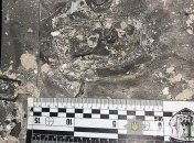 Неизвестные подорвали банкомат в Харькове (Фото, Видео)