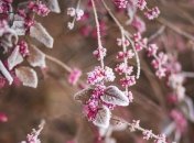 Какой праздник 27 декабря: народные приметы и запреты