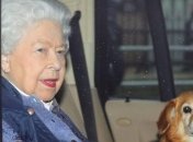 Королева Єлизавета виступила зі зверненням до нації
