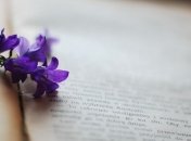 Окунитесь в атмосферу юмора: топ лучших ироничных детективов