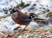 11 декабря. Приметы дня