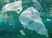 Ученые обнаружили пластиковые отходы на дне Марианской впадины