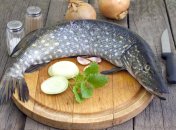 ТОП-5 вкусных блюд из щуки