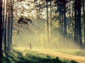 Прогноз погоды в Украине на 16 сентября: солнечно