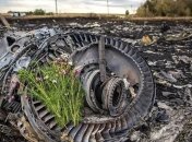 В Нидерландах назвали виновников катастрофы МН17 (Видео)