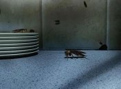 Натуральные советы по борьбе с вредителями