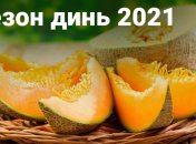 Як вибрати соковиту диню (інфографіка)