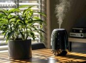 Зволожувати повітря в домі- дуже важливо (зображення створено за допомогою ШІ)