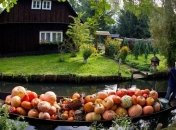 Самые опасные овощи