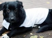 Трогательное видео от Супрун: Есть те, кому повезло меньше