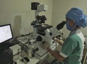 Бесплатный обед в Индии закончился смертью 20 детей 