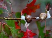 Приметы и обряды на 23 октября - Евлампий-зимоуказатель