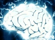 Принципы здорового питания для улучшения мозговой деятельности