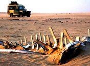 Это место мореплаватели называют не иначе как "Врата ада" (Фото)