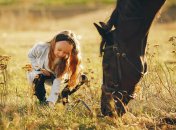 Нельзя было 31 августа привлекать лошадей к работе