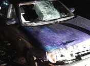 Пьяный водитель наехал на детей: в страшной аварии в Черкасской области погиб подросток