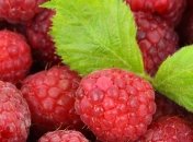 Заробитчане под угрозой: В Британии создали робота для уборки малины 