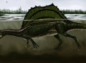 "Это открытие": спинозавры - самые древние крокодилоподобные динозавры