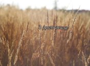 Разобрались, кого поздравляем с Днем ангела 6 сентября