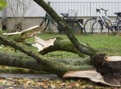 В Германии в результате шторма "Ксавьер" погибли не менее 7 человек