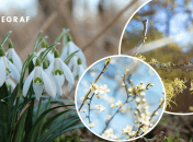 Погода в марте