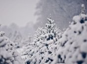 Украину завтра накроет туманами