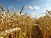 Жарко і практично без опадів: прогноз погоди на вихідні 14-15 серпня