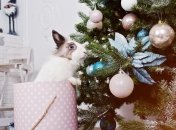 Черный список подарков, которые лишат везения